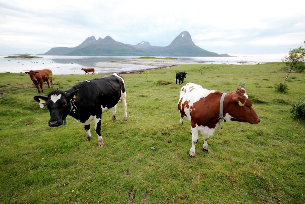 Topcamp Havblikk - Helgeland Nesna Exterior foto